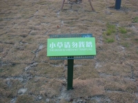 区绿化牌